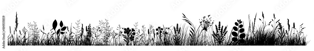 Fototapeta premium Silhouette of grass horizon. Border, meadow springtime, Hand drawn. Not AI, vector illustration