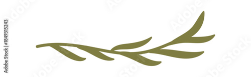 Flat green mistletoe branch ornament with eco holiday style. Christmas decor as winter ornament for kraft box or seasonal gift. Graphic accent for present and festive celebration.