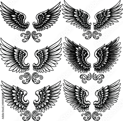 Vintage Set of Detailed Engraved Wing Designs Black and White