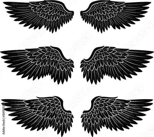 Detailed Black Wings Vector Set Engraving Style Design Elements