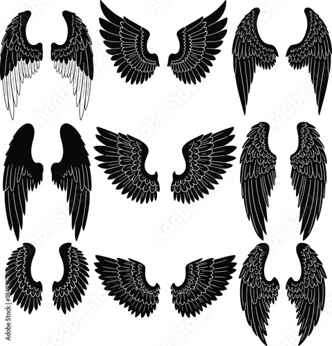 Various Wing Designs Collection Vector Graphic Elements Black and White