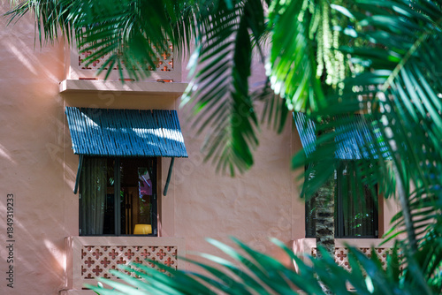 ホテルの部屋の窓とヤシの葉