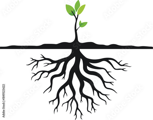 A simple illustration of a young green plant with two leaves and visible roots growing in a small mound of brown soil.
