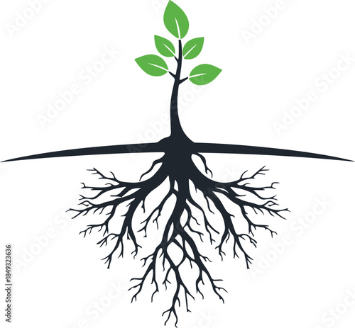 Young green plant sapling growing from soil vector illustration for growth concept

