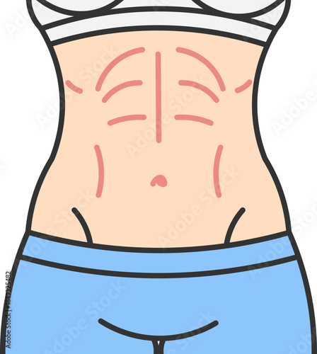 Female belly with muscle markings highlighting abdominal definition