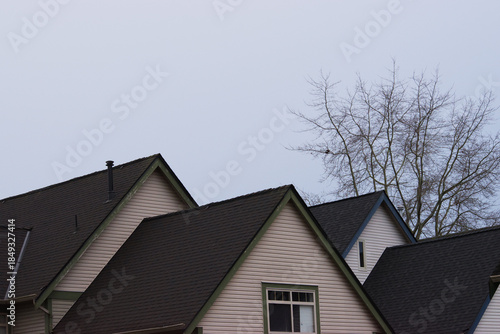 rooflines under overcast skies
