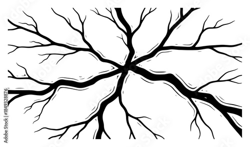 Abstract branching cracks texture spreading from center isolated on white background