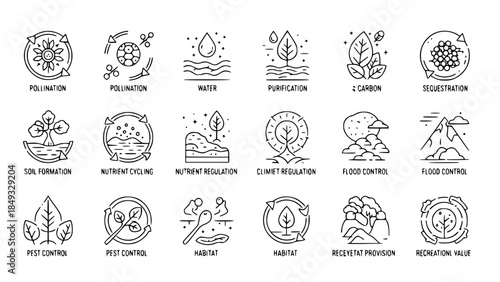 Bioremediation icons illustrate environmental processes in outlines or Ecological icons depict ecosystem services in glyphs