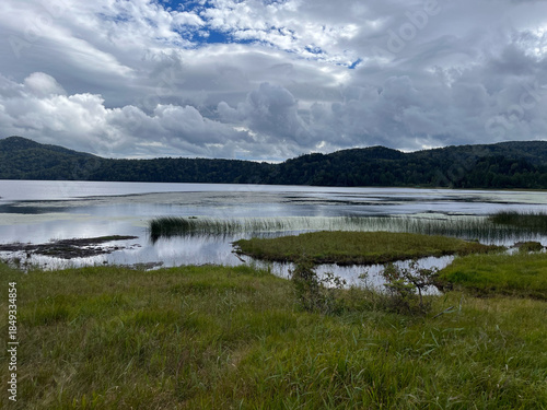 夏の終わりを迎えた尾瀬沼の湿原。