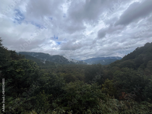 秋の尾瀬、沼山峠周辺に広がる樹林帯の風景。