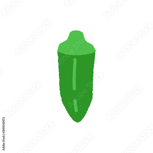 手書き風の単品アイコンイラスト　野菜　オクラ