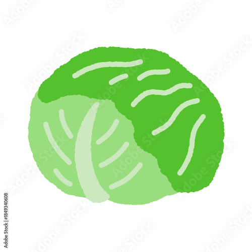 手書き風の単品アイコンイラスト　野菜　キャベツ