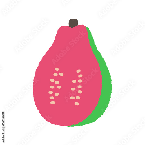 手書き風の単品アイコンイラスト　果物　グアバ