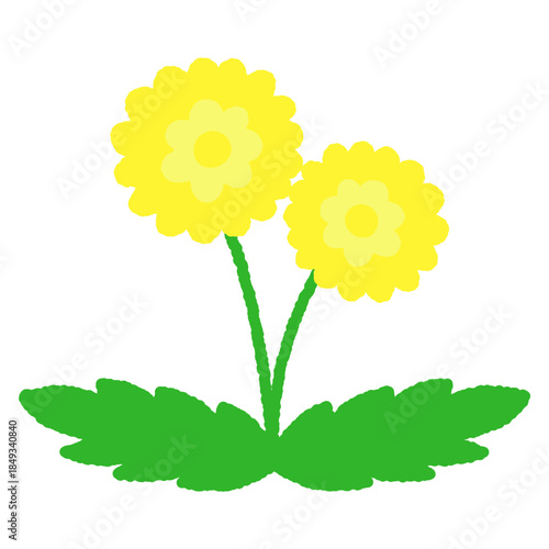 手書き風のシンプルアイコンイラスト　タンポポ