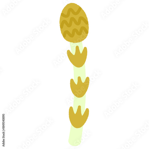 手書き風の単品アイコンイラスト　野菜　つくし