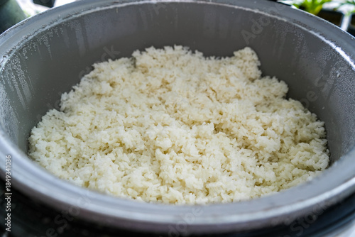 Cooked white rice in rice cooker