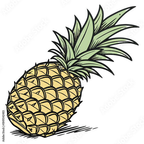 A simple illustration of a pineapple fruit