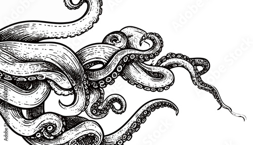 Octopus tentacles vintage engraving illustration