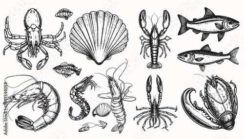 Seafood Variety Line Art Set: Lobster, Shrimp, and Fish Illustration