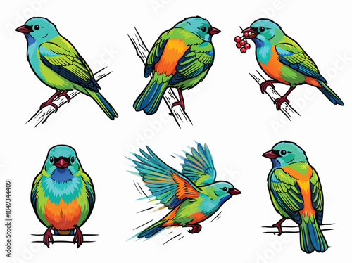 Colorful Birds Collection - A Vibrant Set of Six Unique Avian Illustrations.
