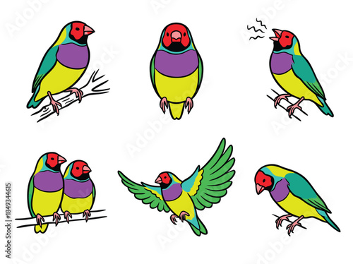 Εκτύπωση καμβά Colorful Gouldian Finches in Various Poses.