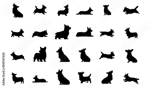 Collection of twentyfour distinct black corgi dog silhouettes displaying various poses and actions on white