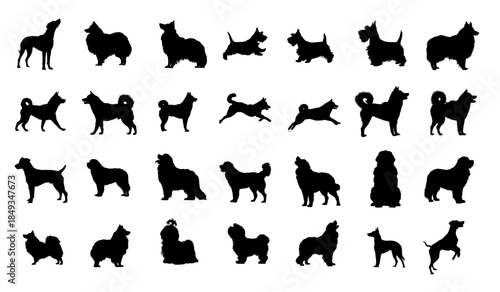 Collection of thirty distinct dog breed silhouettes showcasing various poses and fluffy coat types