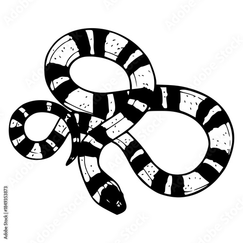 banded sea snake vector illustration in black and white