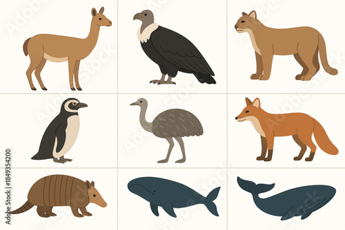 Patagonian Argentina Wildlife Icon Grid with Guanaco, Condor and Penguin in Flat Vector