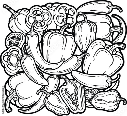 Handdrawn doodle collage of various peppers including bell chili and sliced varieties.