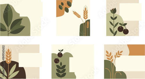 Flat lay composition of six identical square frames with various green leaves, wheat, and berries on a white background with earthy tones.