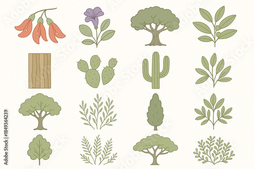 Argentinian Native Plants and Trees Icon Grid with Ceibo, Jacarandá and Ombú in Flat Vector