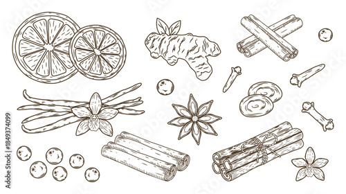 Hand drawn collection of winter spices and flavorings including cinnamon, star anise, ginger, vanilla, and citrus slices, isolated line art sketch