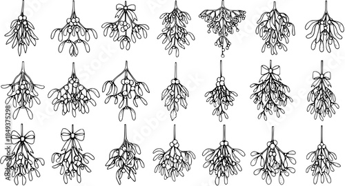 Mistletoe Collection: 18 Hand-Drawn Botanical Illustrations for Holiday and Christmas Decor