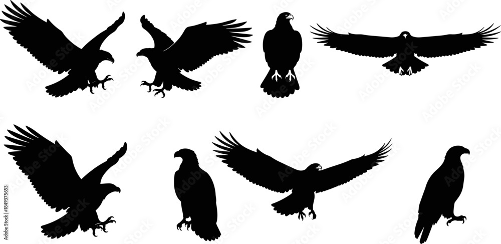 Obraz premium Black Eagle Silhouettes Set, Flying and Perched Hawk Icons, Bald Eagle Poses Isolated on White Background, Predatory Bird Vector Illustration for Logo Graphic Design.