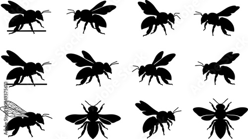 Black Bee Silhouettes Set, Honey Bee Icons Isolated on White Background, Flying and Sitting Bumblebee Collection, Nature Insect Graphics for Logo and Graphic Design.
