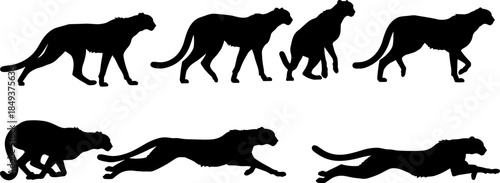 Black Cheetah Big Cat Vector Silhouettes Collection, Fast Running Wild Animal Graphic Set for African Safari Wildlife, Speed, Predator, and Nature Reserve Design.