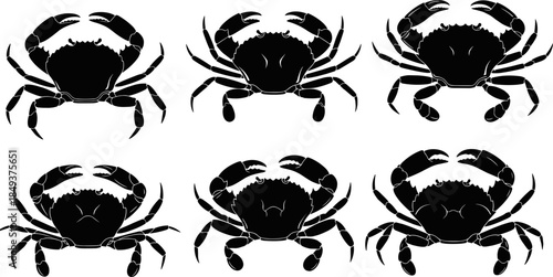 Black Crab Silhouette Vector Graphics Set, Six Detailed Marine Life Crustacean Emblems, Ocean Seafood Logo Icons, Tropical Animal Sea Creature Design Elements, Isolated on White Background.