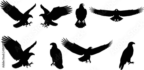 Black Eagle Silhouettes Set, Flying and Perched Hawk Icons, Bald Eagle Poses Isolated on White Background, Predatory Bird Vector Illustration for Logo Graphic Design.
