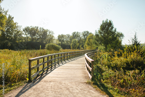 Tableau sur toile Wooden boardwalk path curving through prairie landscape at Mallard Lake Forest P