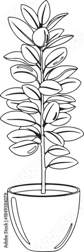 untitled, category:, stem, description:, situated, organic