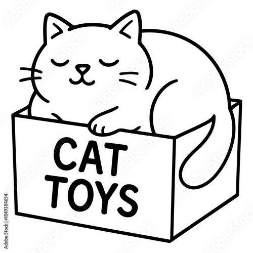 Cat Toys box image: A cute, sleepy cat snugly rests inside a CAT TOYS box, its eyes gently closed, inviting viewers into a world of feline fun and amusement.