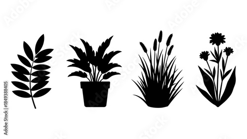 Collection of diverse plant silhouettes for graphic design projects and botanical illustrations