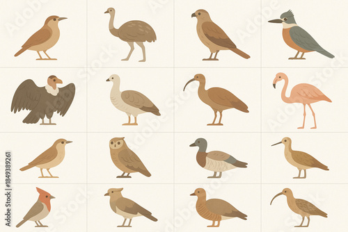 Argentinian Wild Birds Icon Grid with Hornero, Condor and Flamingo in Flat Vector