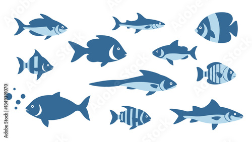 Collection of Diverse Aquatic Life Forms Showcasing Various Species of Marine Creatures