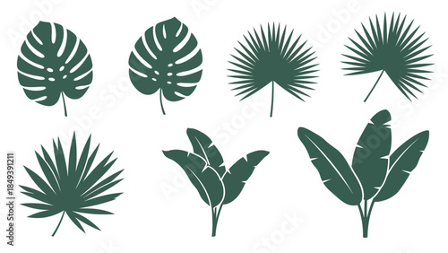 Set of various tropical plant leaves, showcasing diverse shapes and silhouettes for decorative and design purposes