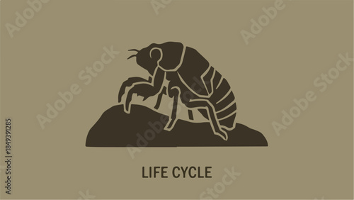 Cicada Life Cycle Illustration on a Minimalist Background.