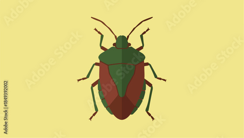 Detailed illustration of a green and red stink bug.