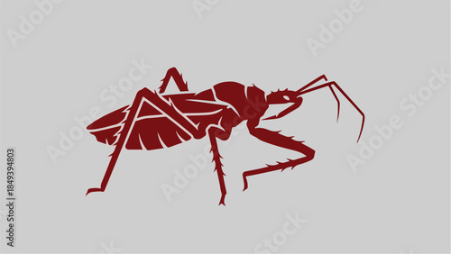 Red insect illustration on a light gray background.