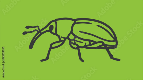 Simple Outline Illustration of a Weevil Insect on Green Background.